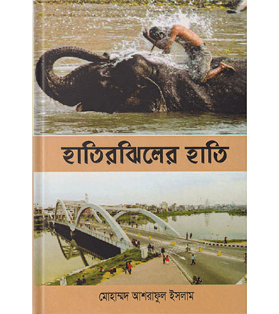 হাতির ঝিলের হাতি